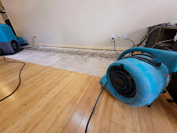 Professional Structural Drying technician working in Castalia, NC